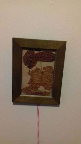 Korjasime emaga lehti ja panime pildi raami