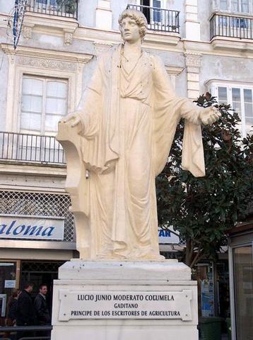 Término Veterinario