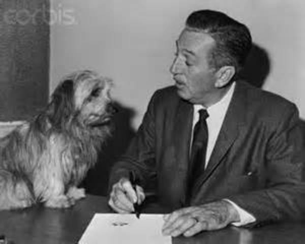 Walt Disney signs a contract with M.J. Winkler