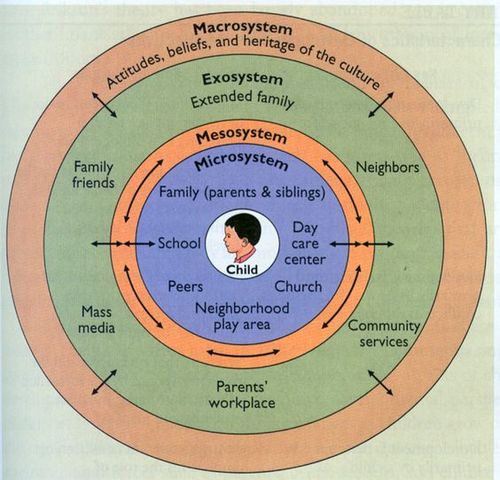 First Research Project (Vygotsky)