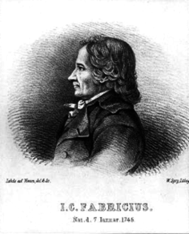 Johan Christian Fabricius