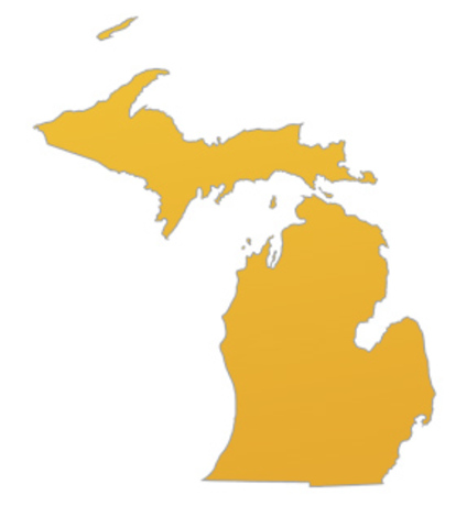 I Moved Back to Michigan