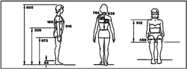 Estudios antropometricos