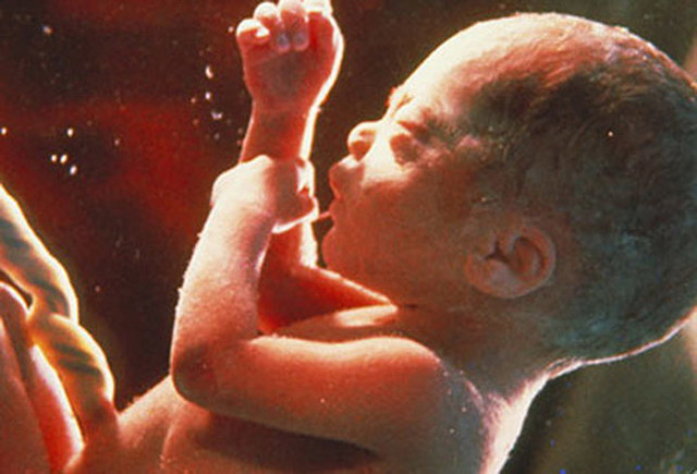 8vo. mes/semanas 30-34 (Fase fetal)