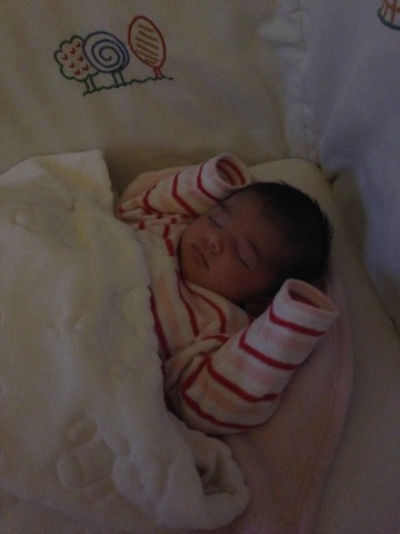 EL NACIMIENTO DE PRIMA