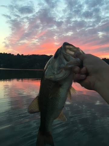 Dad took me fishing for the first time