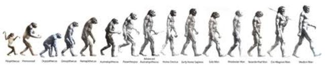 Homo Sapiens(200,000BCE~Modern time)