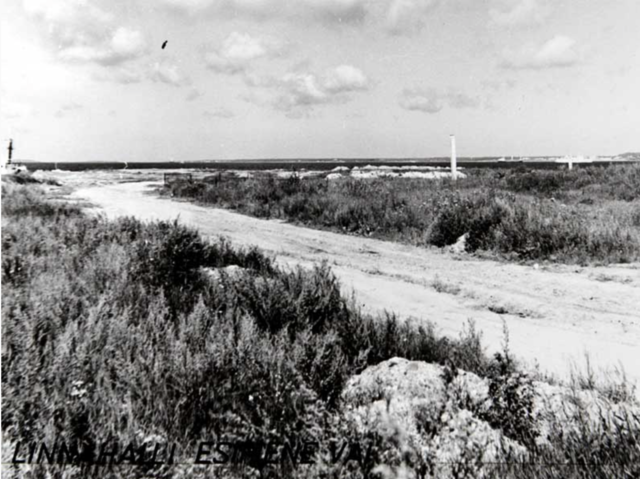 Linnahalli esimene vai