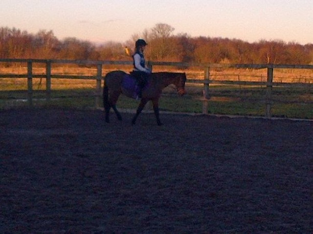 I got my first horse