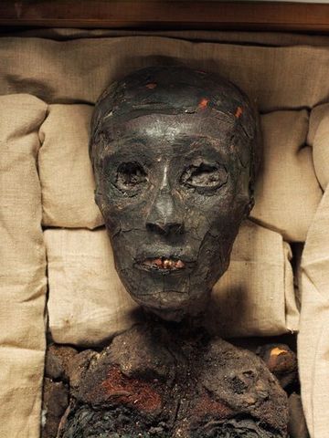 King Tut passes away