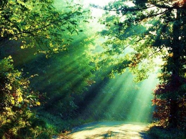 Amigos de la naturaleza