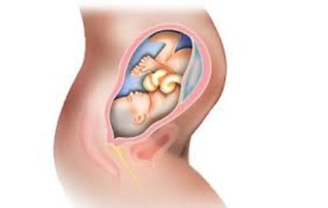 Eight Month For Baby