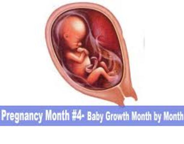 Month 4- Baby