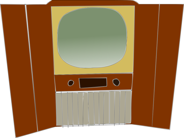 El televisor
