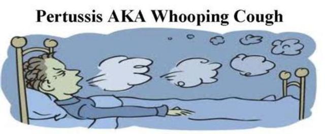 First vaccine for pertussis