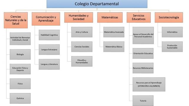 Departamentos academiscos