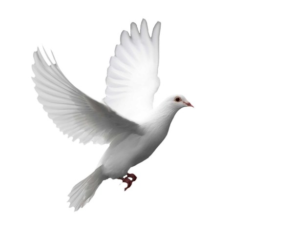 El Indice de Libertad Humana