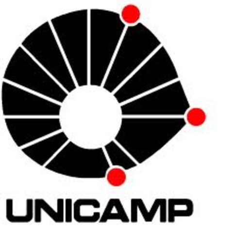 Cria-se um grupo interciplinar na UNICAMP