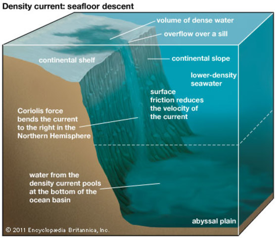 Xenophanes Layers of sediments on the ocean floor