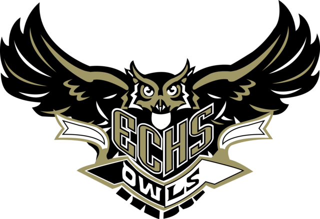 Fuí Aceptada en ECHS