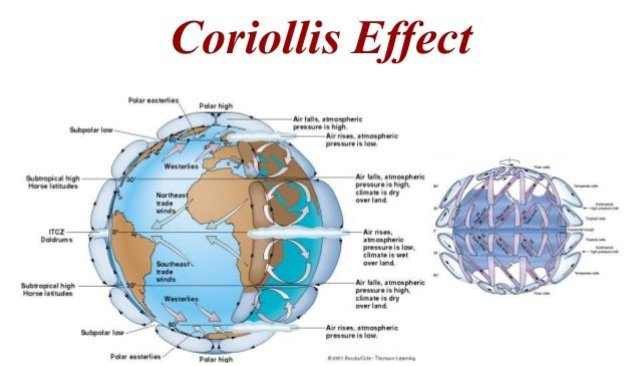 Coloris Effect
