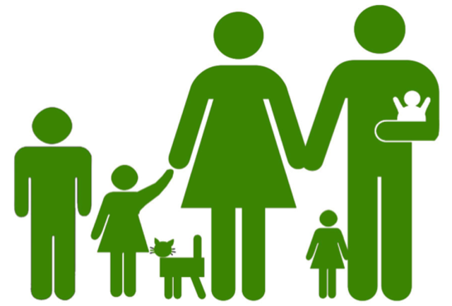 1970-80 Intervención familiar