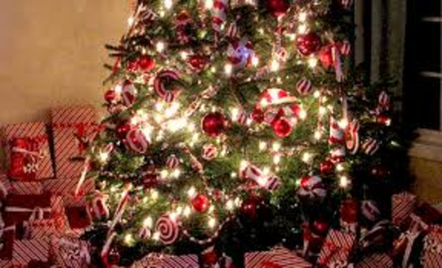 17th century statred candy canes hanging from Christmas trees