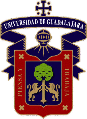 Inicio mi carrera profesional