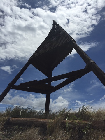 Day 7 Visit Wow farm