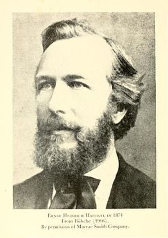 E. Haeckel