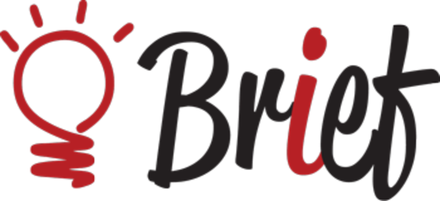 ENTREGA DEL BRIEF DE LA EMPRESA