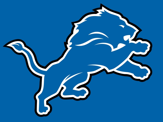 Went to Detroit Lions game.
