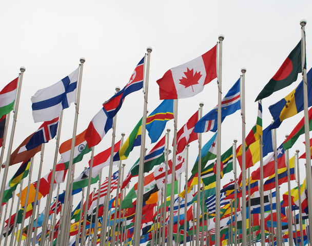 Composition of the Contemporary Population