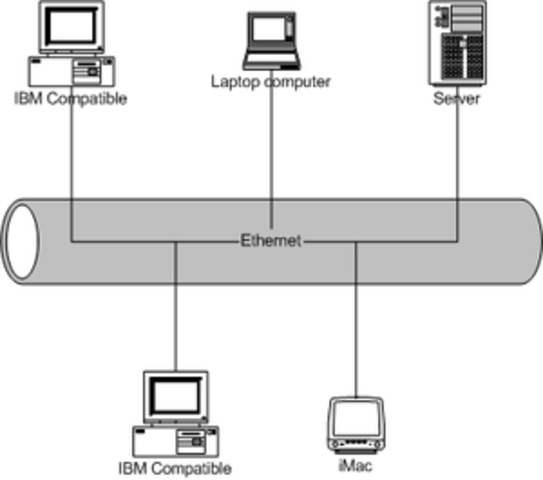 Se crean redes LAN Ethernet