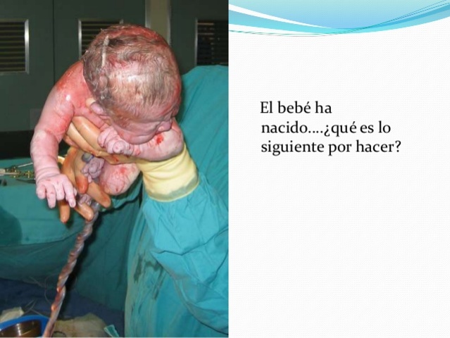 CONOCIMIENTOS PREVIOS.