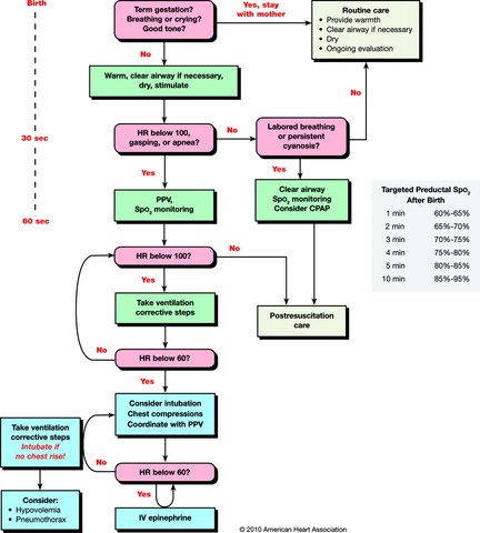 Habilidades y destrezas del alumno en la sala de partos