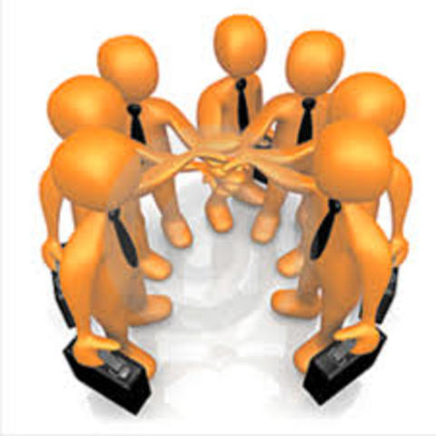 Organización por equipos