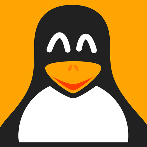 Linux CLI