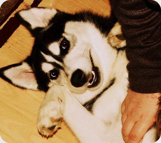 Angel all grown up into a big girl now!