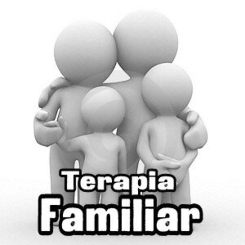 Campo De La Terapia Familiar