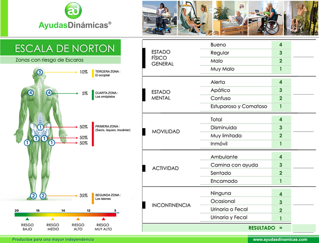 Exposición del Tema