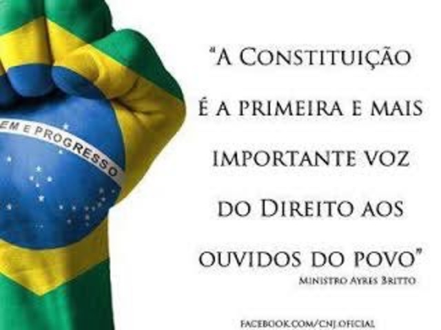 Constituição Federal