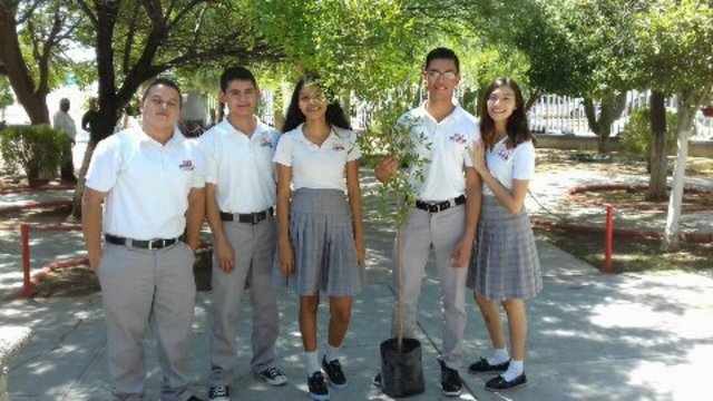 Plantación de Arboles (Geografía)