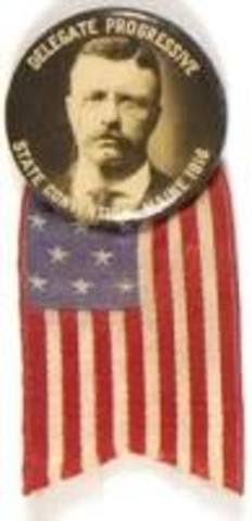 Runs for presidency, unsuccessfully for Bull-Moose Party