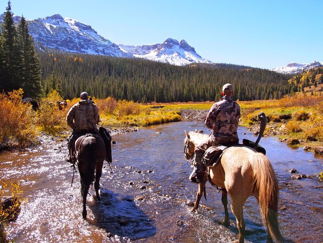 Colorado Hunt