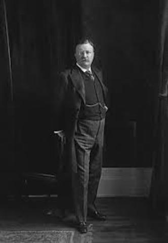 Theodore Roosevelt Wins First Full Term as President