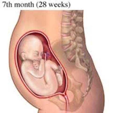 Baby-Month 7