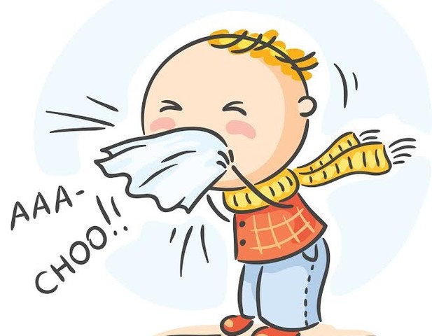 [EPIDEMIE] L'épidémie de grippe débute en france