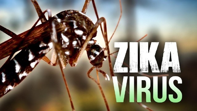 [ZIKA] Cas de Zika à Mayotte