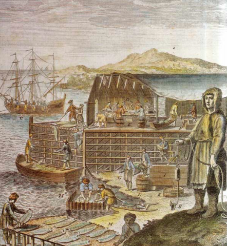 The European Fisheries